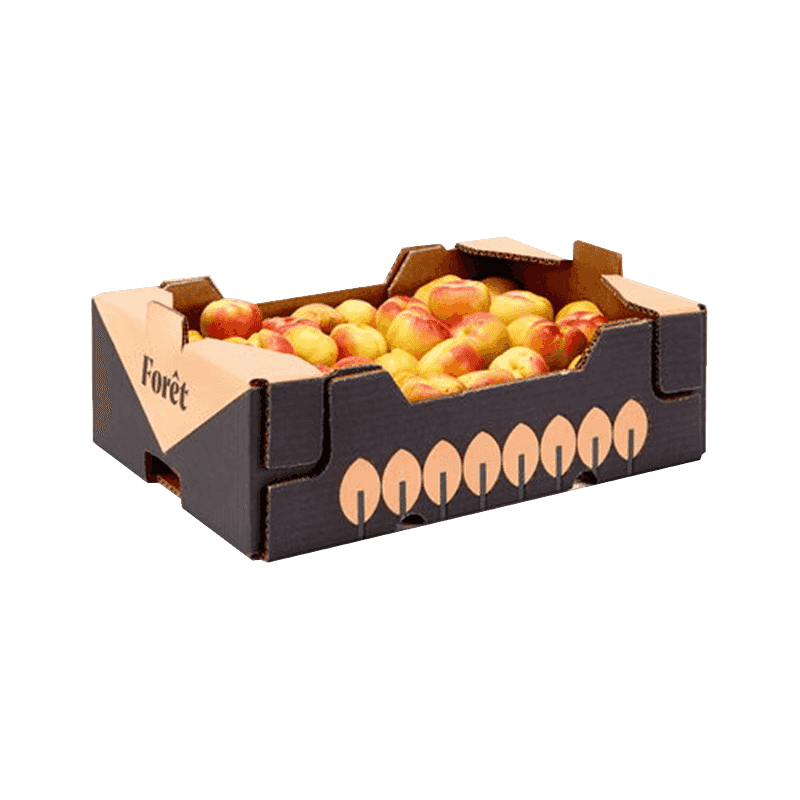 Corrugated Fruit Packaging Boxes